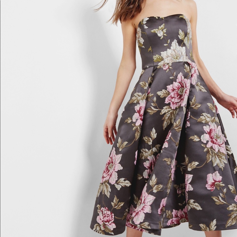 Ted Baker Bernica Dress